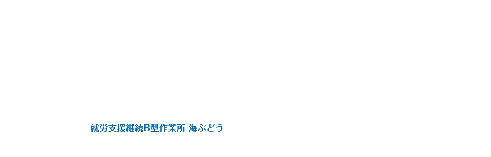 就労支援継続B型作業所 海ぶどう